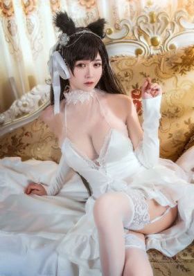 红桃网