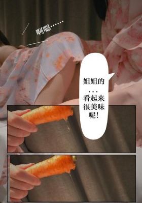 记忆的静物